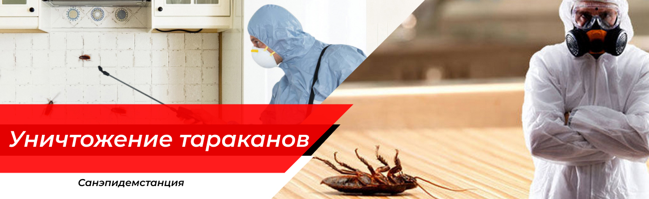 Уничтожение тараканов Софрино
